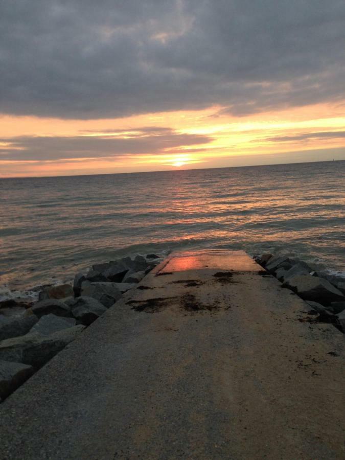 "Le Vieux Nid" Villa Carolles Oda fotoğraf